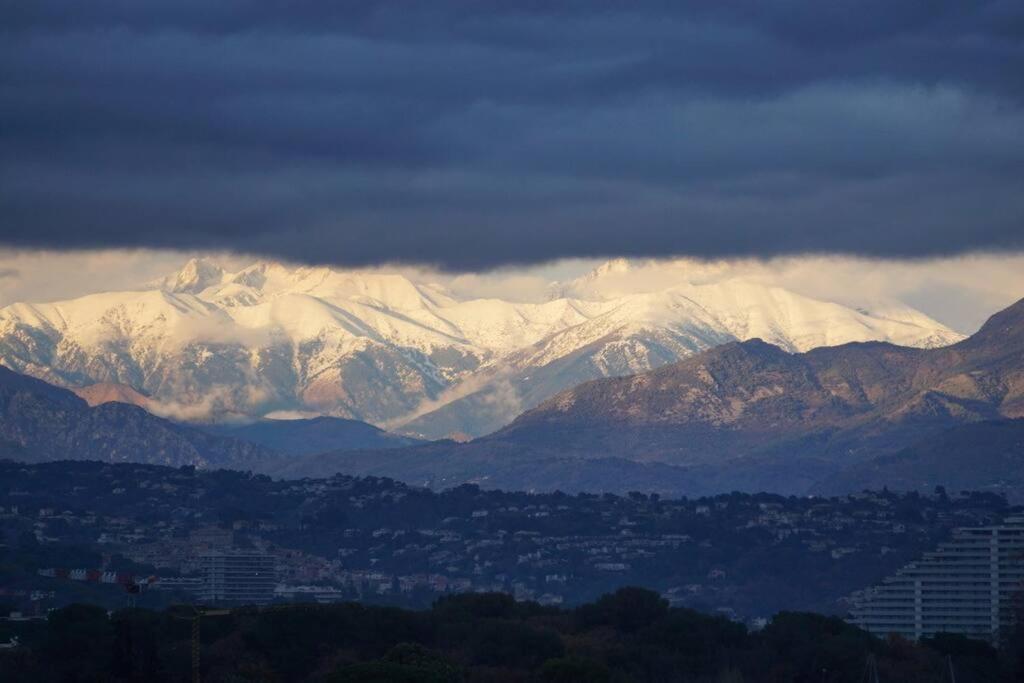 Superbe Appartement, Piscine, Vue Mer Et Montagnes Antibes Exterior foto